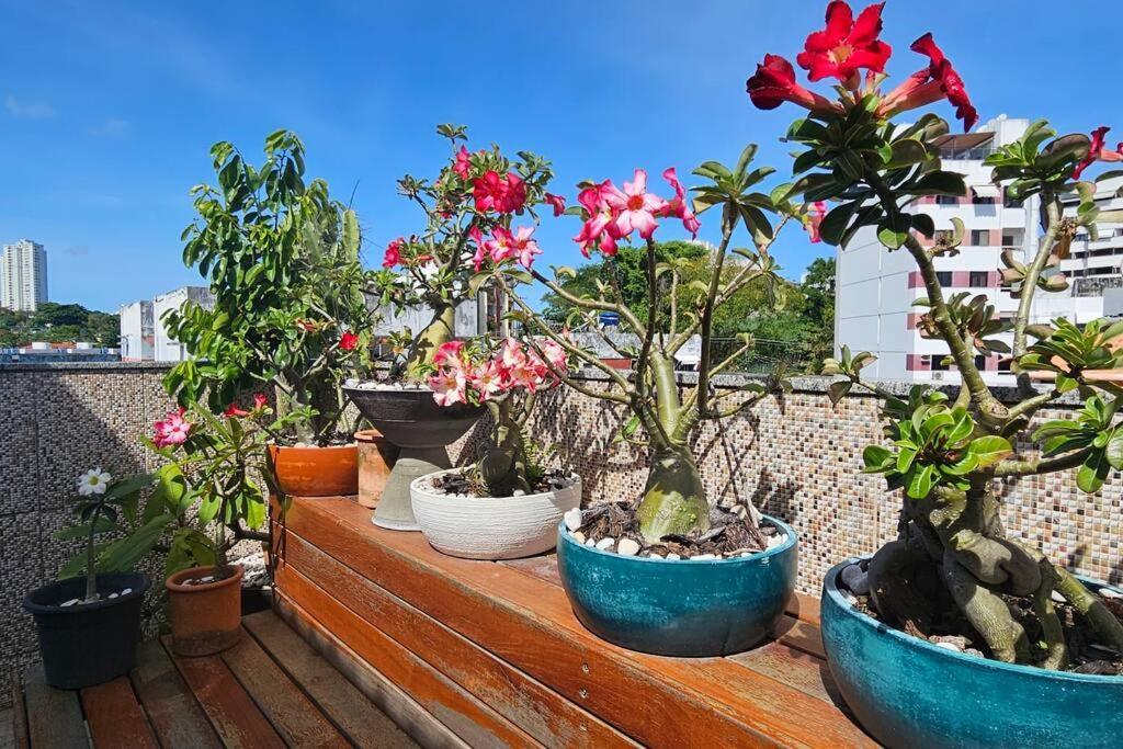Cobertura Duplex 2 Quartos No Rio Vermelho Apartamento Salvador